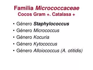 Familia Micrococcaceae Cocos Gram +. Catalasa +