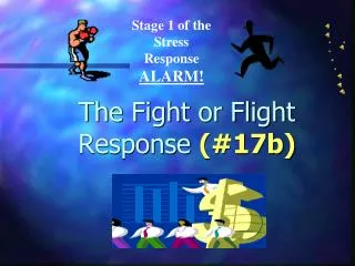 The Fight or Flight Response (#17b)