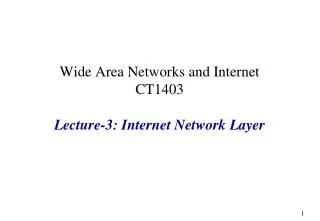 Wide Area Networks and Internet CT1403