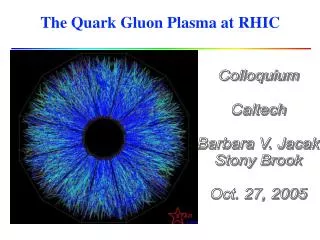 The Quark Gluon Plasma at RHIC