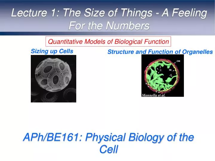 aph be161 physical biology of the cell