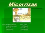 Micorrizas - slide 1