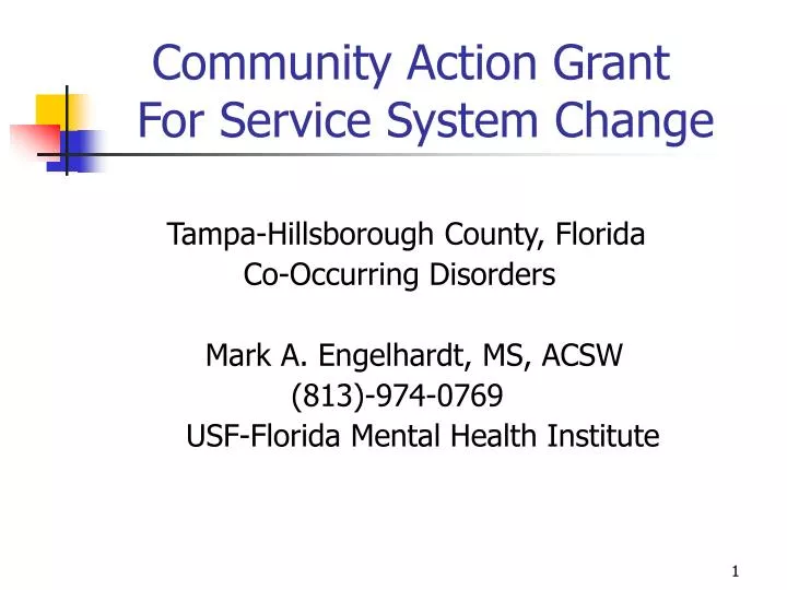 community action grant for service system change