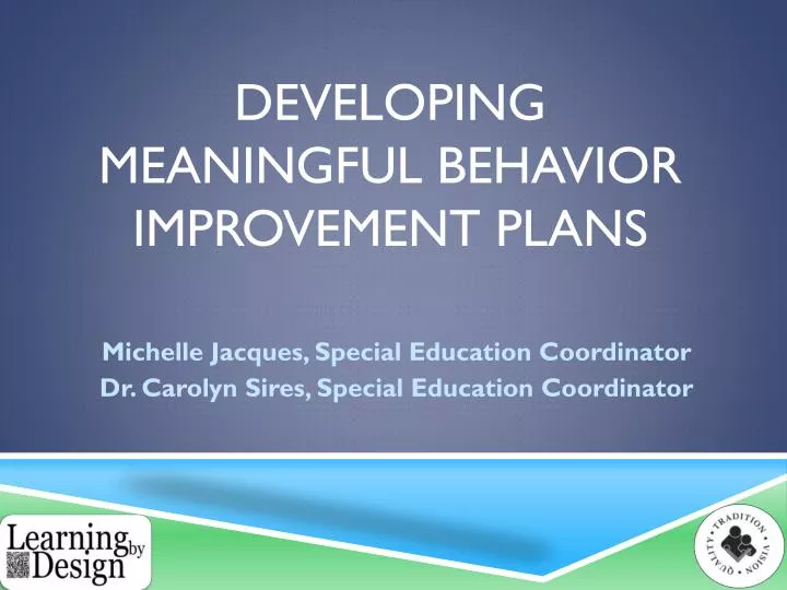 developing meaningful behavior improvement plans