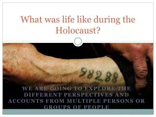 What was life like during the Holocaust?