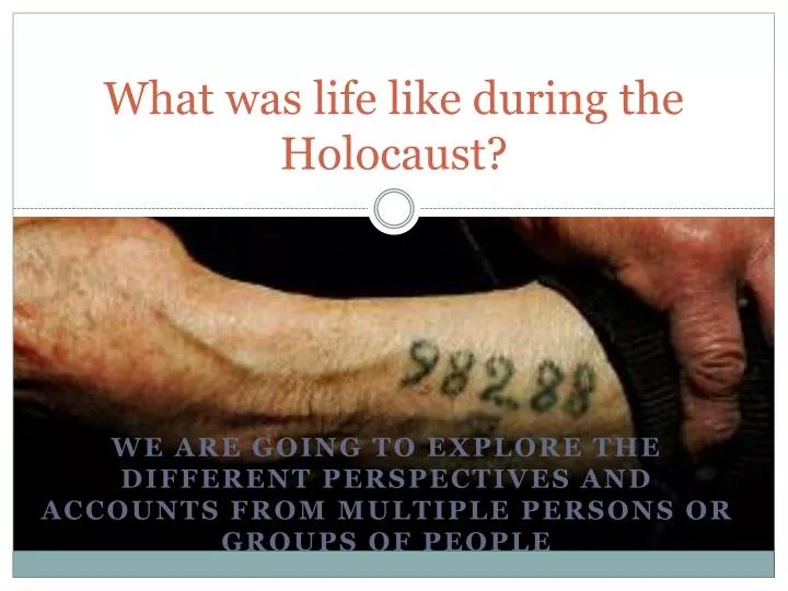 what was life like during the holocaust