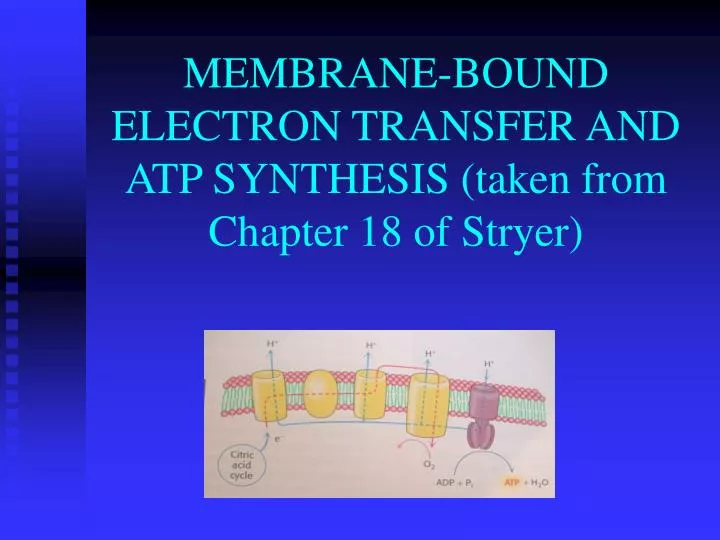 membrane bound electron transfer and atp synthesis taken from chapter 18 of stryer