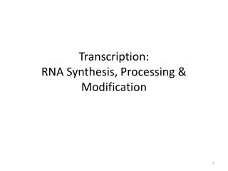 Transcription: RNA Synthesis, Processing &amp; Modification