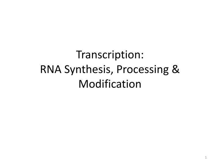 transcription rna synthesis processing modification
