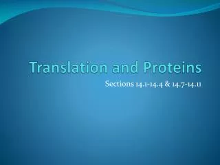 Translation and Proteins