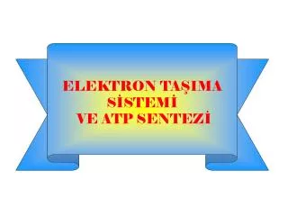elektron ta ima s stem ve atp sentez