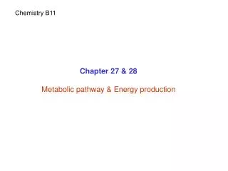 Chapter 27 &amp; 28 Metabolic pathway &amp; Energy production