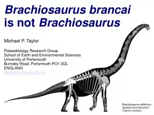 Brachiosaurus brancai is not Brachiosaurus Michael P. Taylor Palaeobiology Research Group