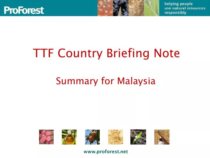 ttf country briefing note