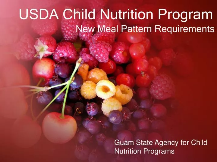 usda child nutrition program