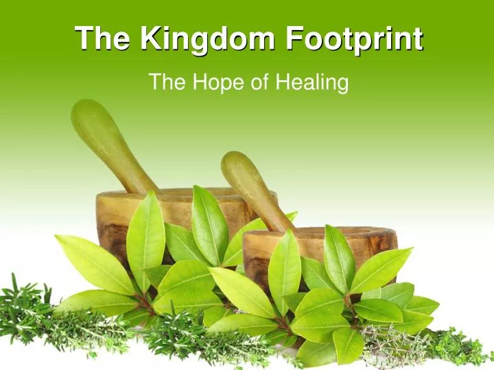 the kingdom footprint