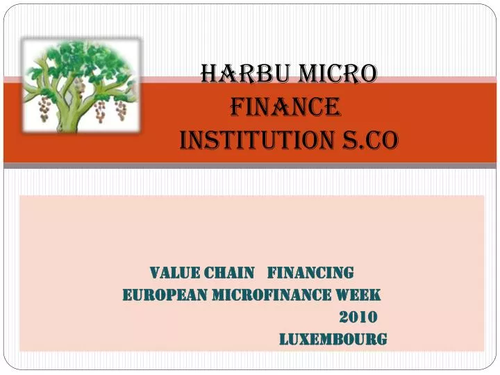 harbu micro finance institution s c o