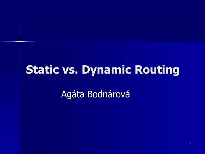 static vs dynamic routing