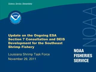 Louisiana Shrimp Task Force November 29, 2011