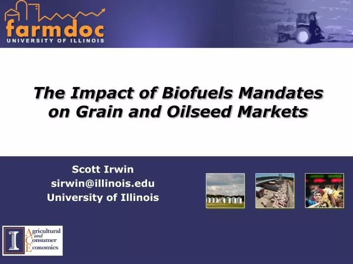 the impact of biofuels mandates on grain and oilseed markets