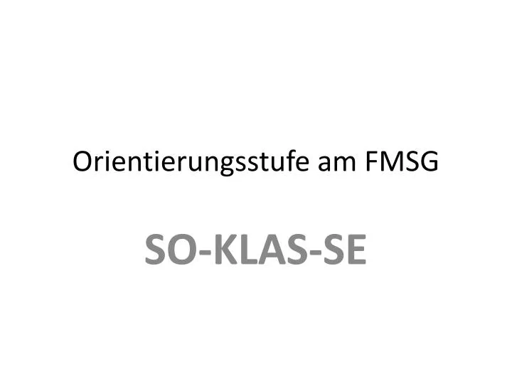 orientierungsstufe am fmsg