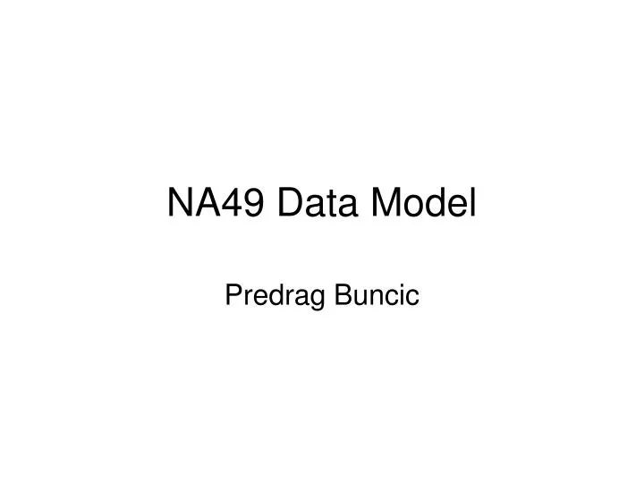 na49 data model