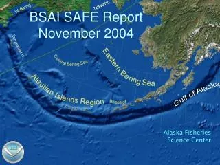 BSAI SAFE Report November 2004