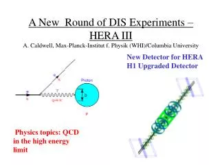 Physics topics: QCD in the high energy limit