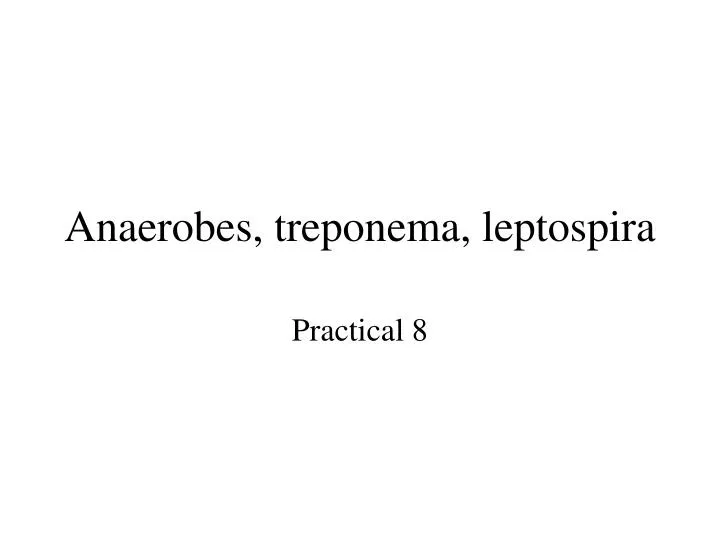 anaerobes treponema leptospira