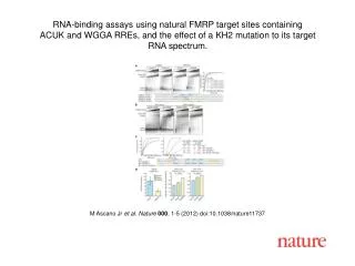 M Ascano Jr et al. Nature 000 , 1-5 (2012) doi:10.1038/nature11737