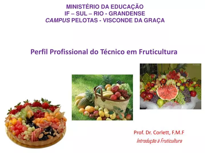 perfil profissional do t cnico em fruticultura