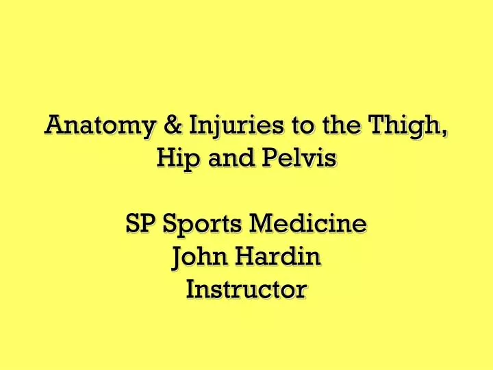 anatomy injuries to the thigh hip and pelvis
