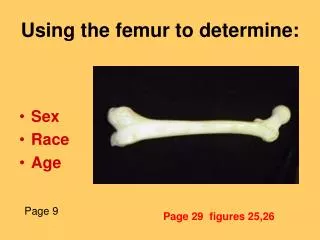 Using the femur to determine: