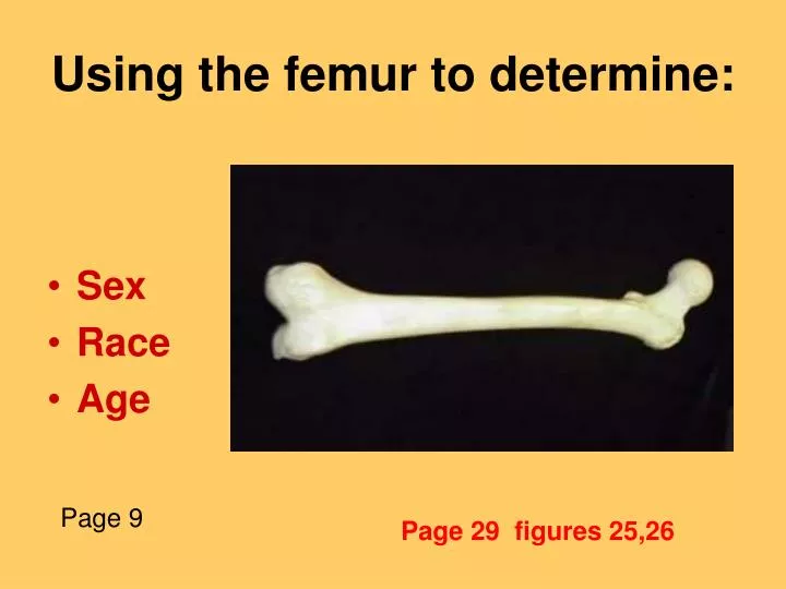 using the femur to determine