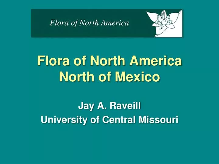 flora of north america north of mexico