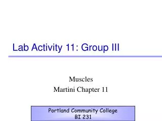 Lab Activity 11: Group III