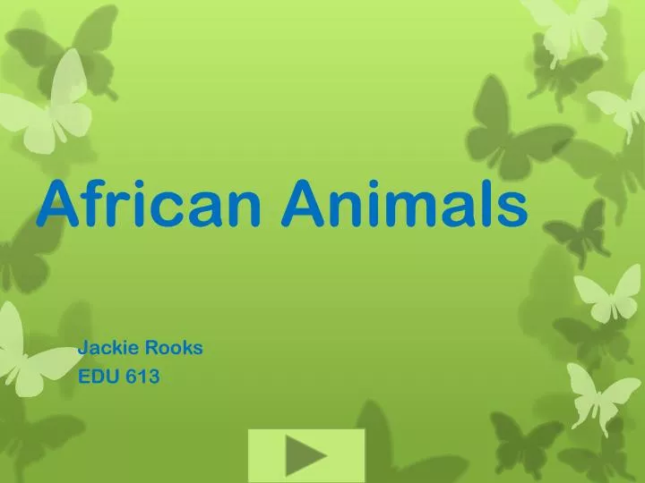 african animals