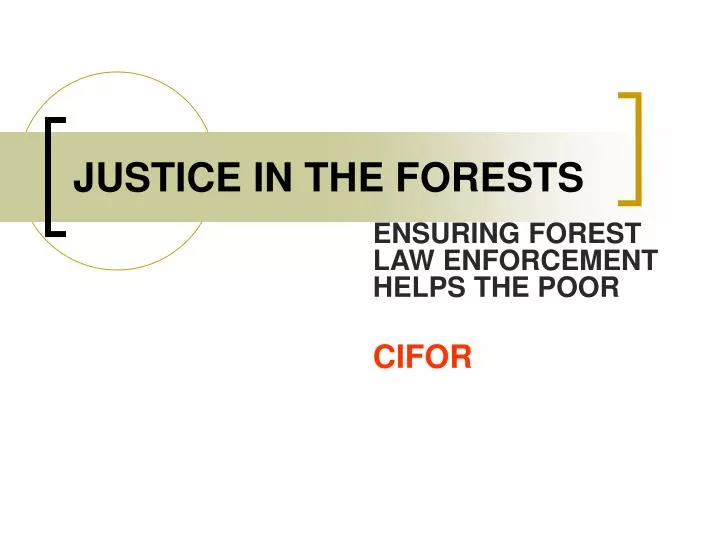 justice in the forests