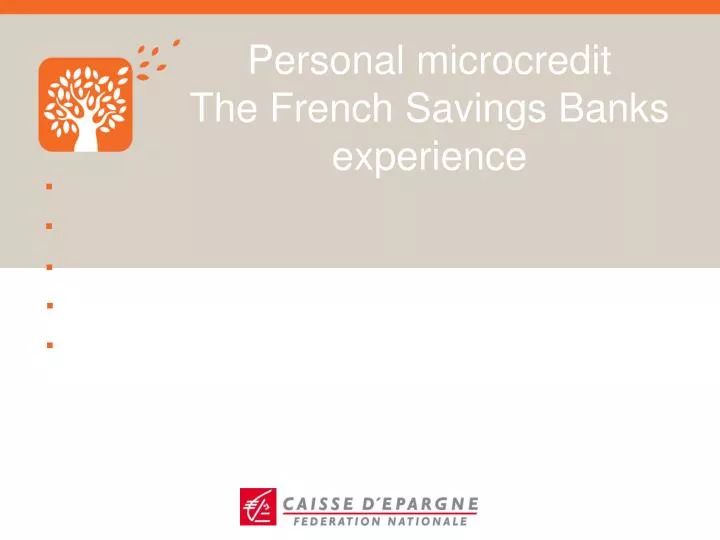 personal microcredit the french savings banks experience