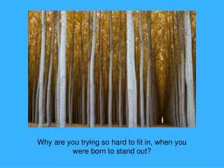 Why are you trying so hard to fit in, when you were born to stand out?