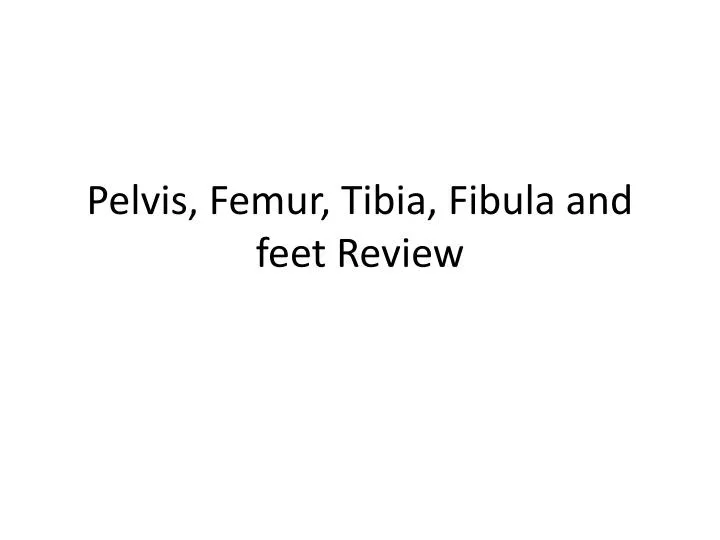pelvis femur tibia fibula and feet review