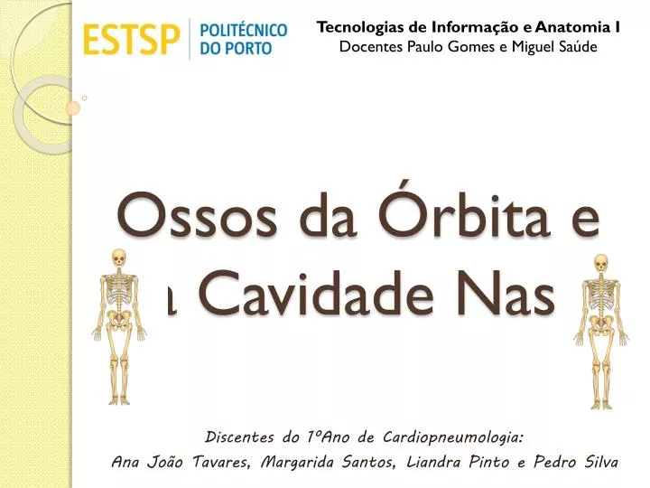 ossos da rbita e da cavidade nasal