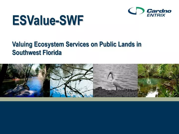 esvalue swf valuing ecosystem services on public lands in southwest florida