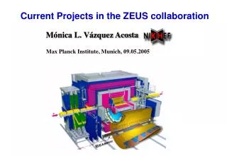 Current Projects in the ZEUS collaboration