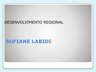 sofiane labidi