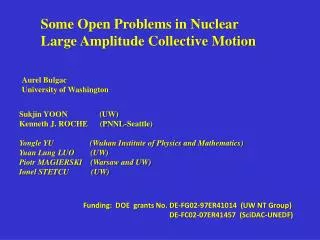 Some Open Problems in Nuclear Large Amplitude Collective Motion