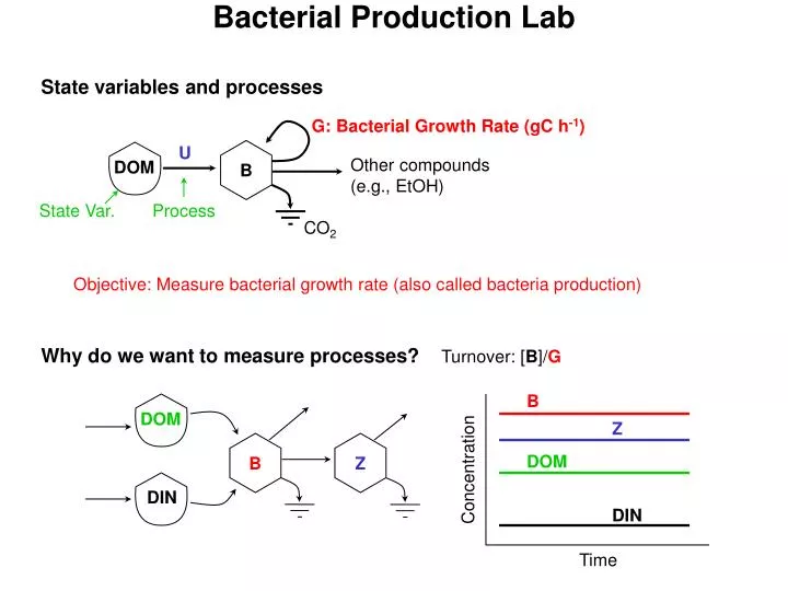 bacterial production lab