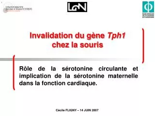 invalidation du g ne tph1 chez la souris