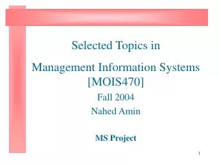 Selected Topics in Management Information Systems [MOIS470] Fall 2004 Nahed Amin MS Project