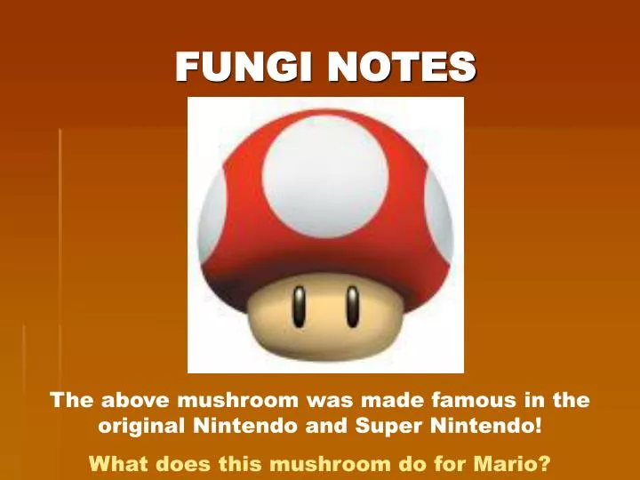 fungi notes